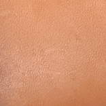 Tan Leather