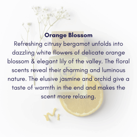 Orange Blossom B Orange Blossom B