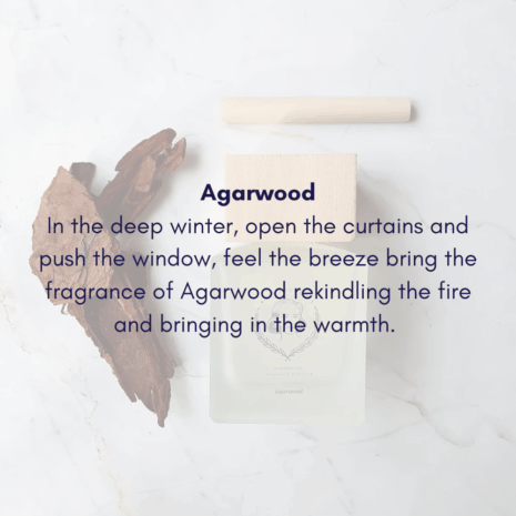 Agarwood Diffuser B Agarwood Diffuser B